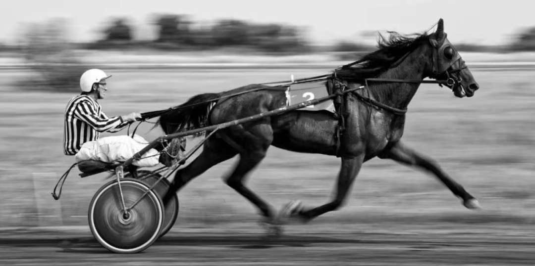 Harness时代，谁在驾驭AI这匹野马？