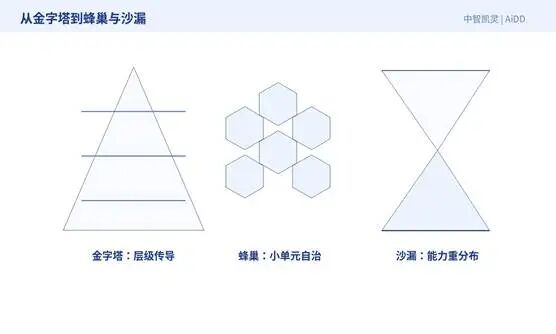 个体变快了,为什么组织没有变快?(图4)